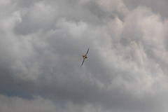 Eurofighter Typhoon