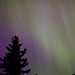 Solar Flare Aurora Borealis