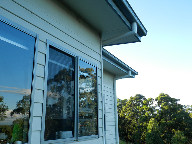 120/365 2025 kitchen window