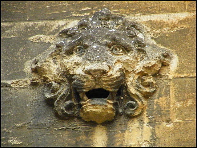 grotesque lion