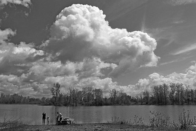 Fido mange un nuage