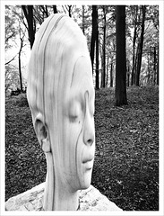 sculpture in the woods