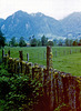 Bartlesman van Elikinhuisen Dairy Farm