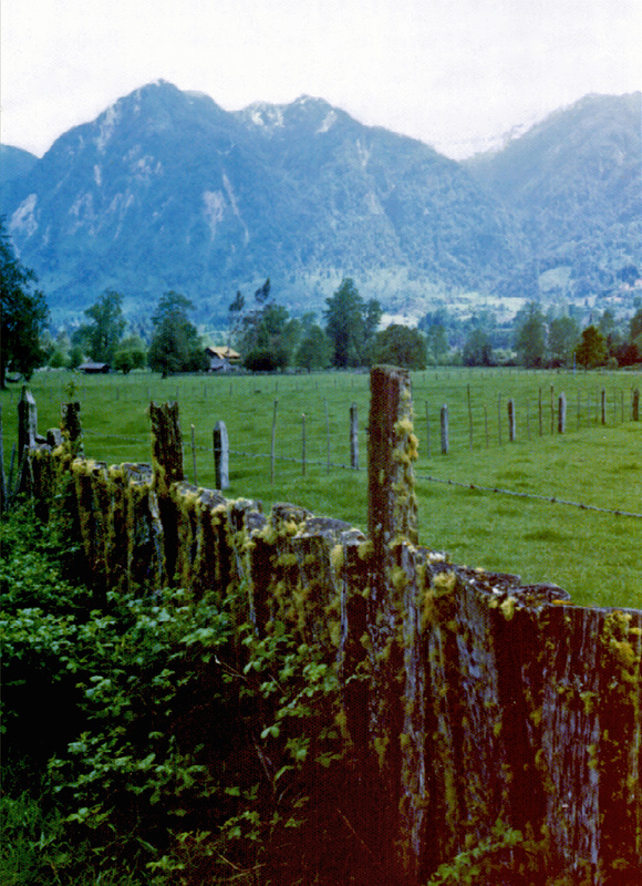 Bartlesman van Elikinhuisen Dairy Farm