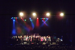FIMU 201505 31