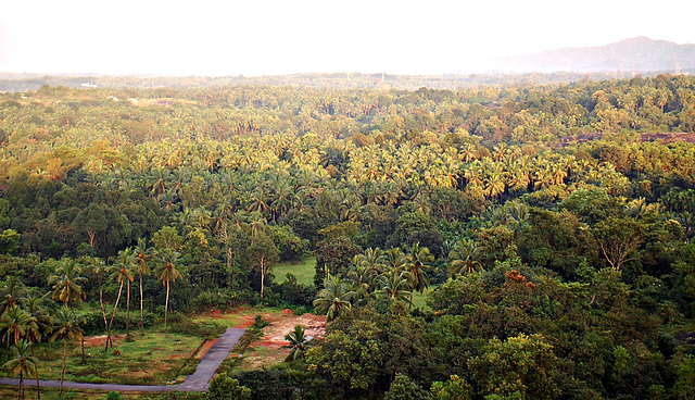 View of Karkala