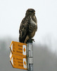 Welche Richtung.....?