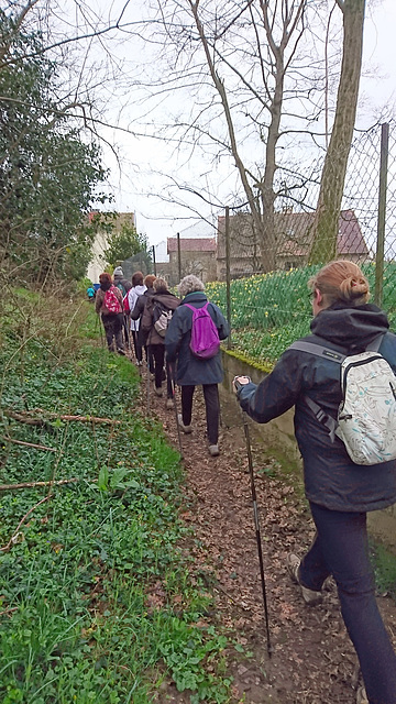 Marche nordique à Livry-sur-Seine 19/03/2017