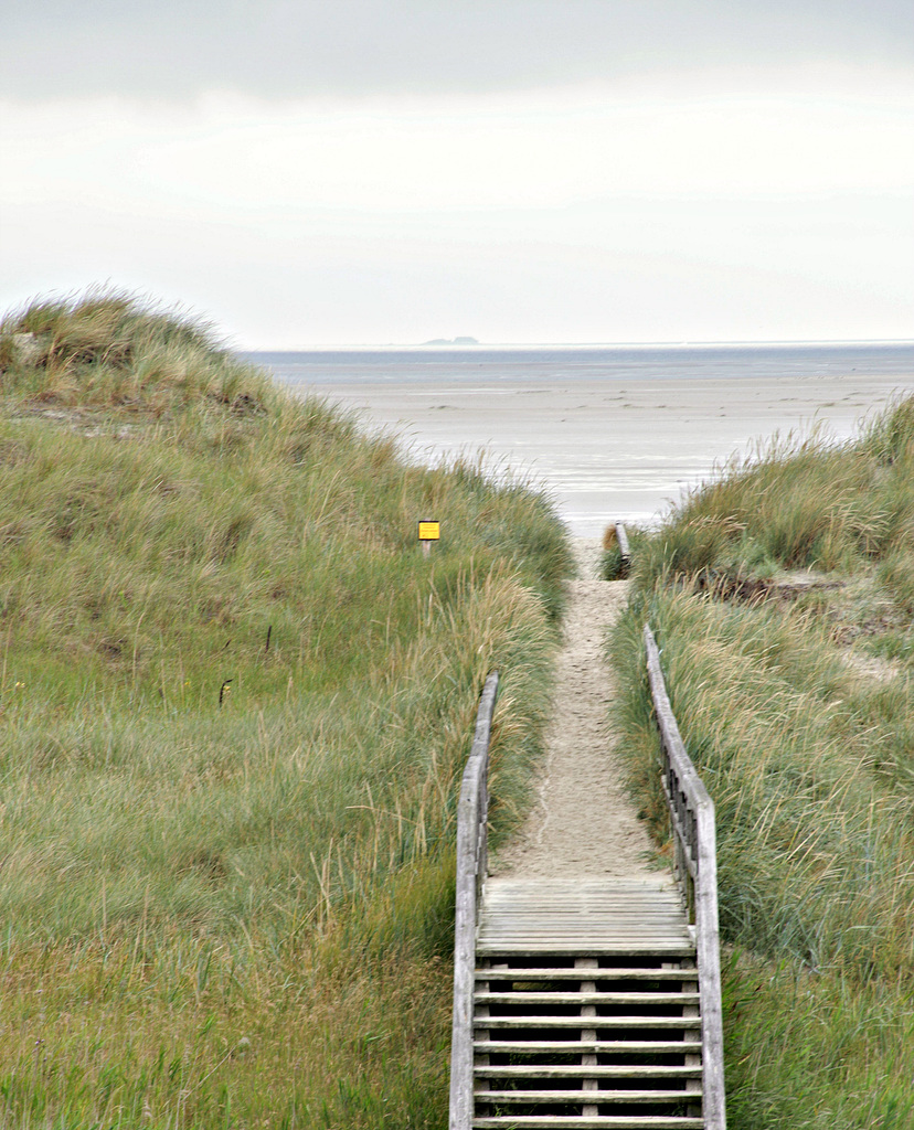Weg durch die Dünen