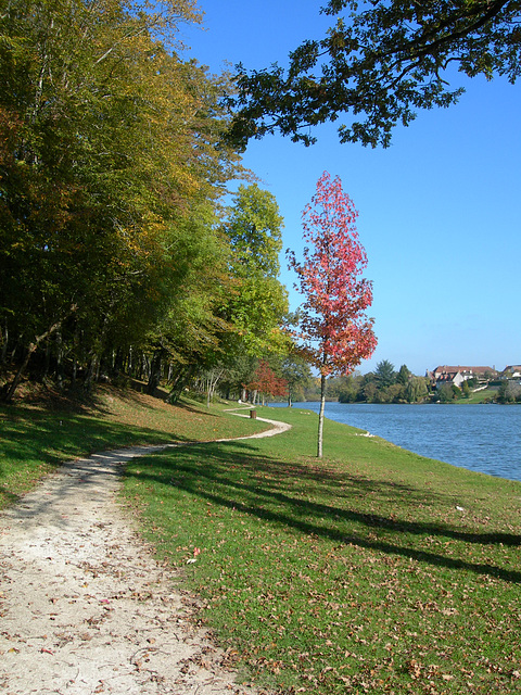 L'étang du Bourg. Dampierre en Burly.