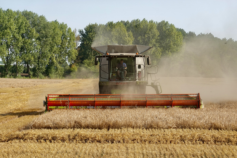 Getting the harvest in