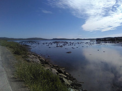 Le bleu matinal de Terre-Neuve / Newfoudland's blue morning