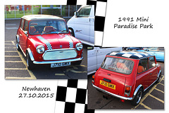 1991 Mini - at Paradise Park - Newhaven - 27.10.2015