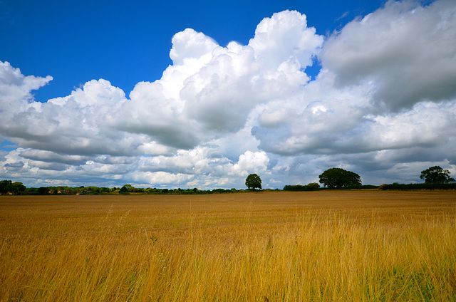 Big clouds near Gnosall