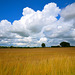 Big clouds near Gnosall