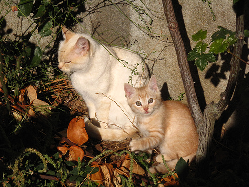With Mother.