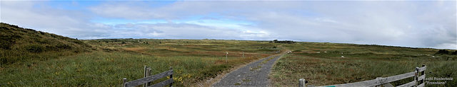 Bike Netherlands/  Texel  De Slufter