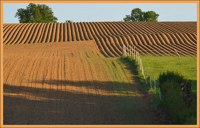 Shadows Vs Lines