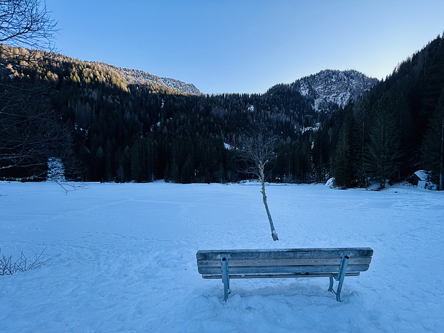 Bench in the shadow.