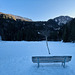 Bench in the shadow.