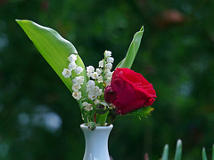 1er mai