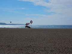 Nazaré beach