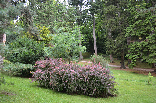 Powerscourt Gardens, Eastern side