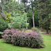 Powerscourt Gardens, Eastern side