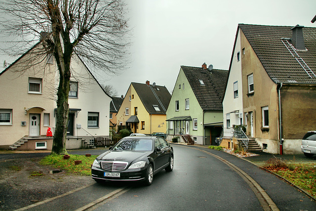 Bogenstraße (Bergkamen) / 5.01.2020