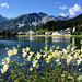 Der Obersee in Arosa