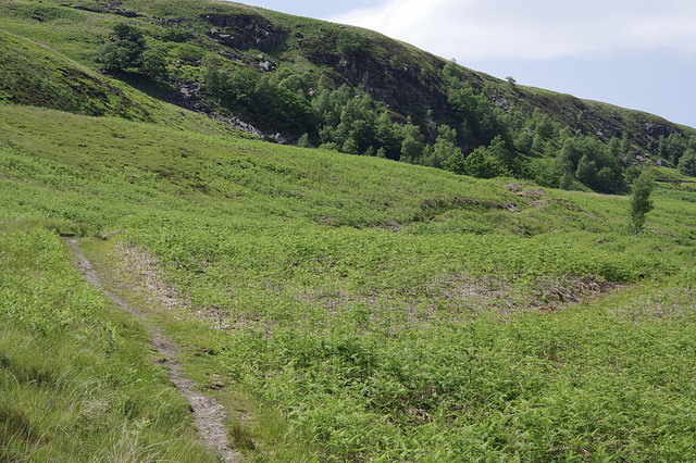 Crowden - Outdoor centre path to join the Pennine Way