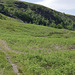 Crowden - Outdoor centre path to join the Pennine Way