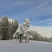 Winter auf dem Hagen