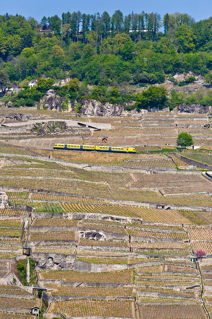110422 train vignes