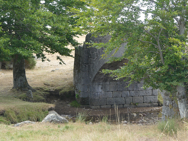 20170811 -16 Randos solo Lozere Finiels (119) al