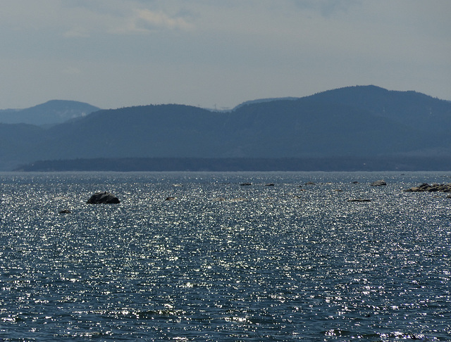 Day 6, when the river sparkles, Tadoussac, Quebec