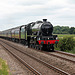 Stanier LMS class 6P Jubilee 45562 ALBERTA (45699 GALATEA) at Binnington crossing with 1Z24 07.40 Carnforth - Scarborough The Scarborough Spa Express 24th June 2021. (steam from York)