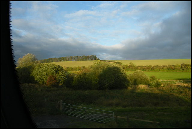 golden evening light