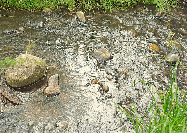 stones and ripples 2