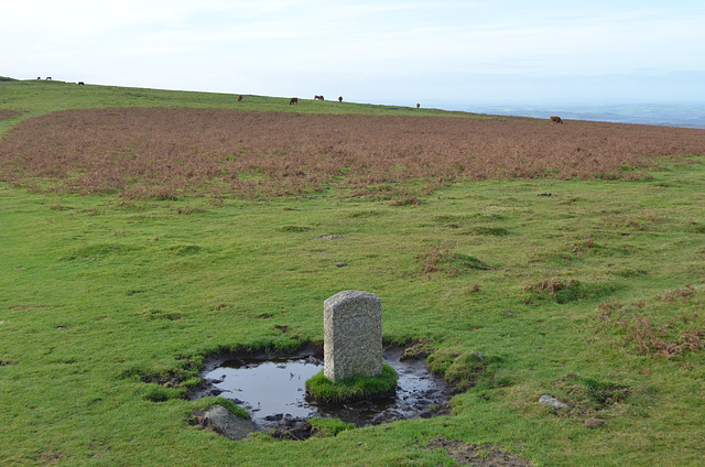 Dartmoor National Park Landscape