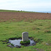 Dartmoor National Park Landscape