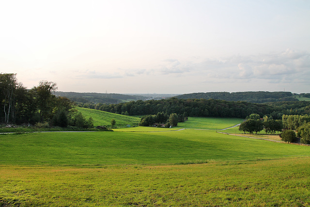 Landschaft bei Bredenscheid (Hattingen) / 20.08.2017