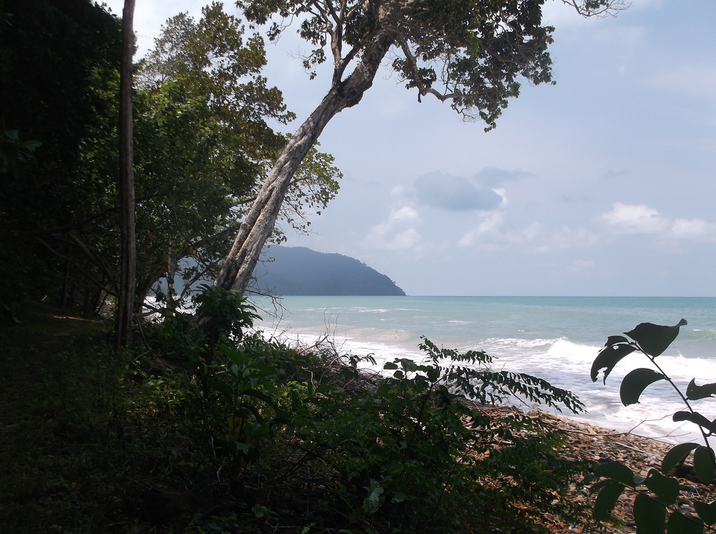 Nature Thaïlandaise / Thaï wilderness / ธรรมชาติไทย