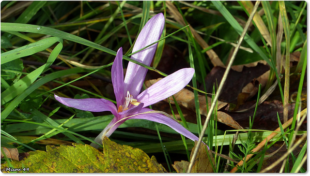 Voyage dans le JURA