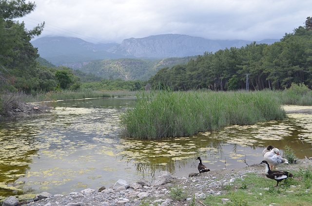 Phaselis, Swampy Valley