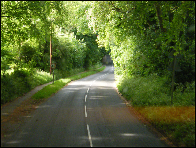 bussing through the green