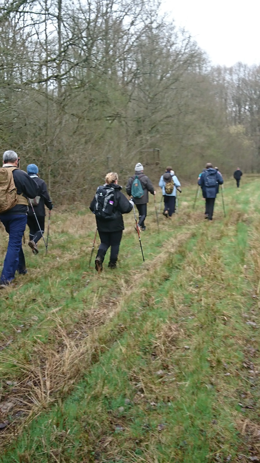 Marche nordique à Livry-sur-Seine 19/03/2017