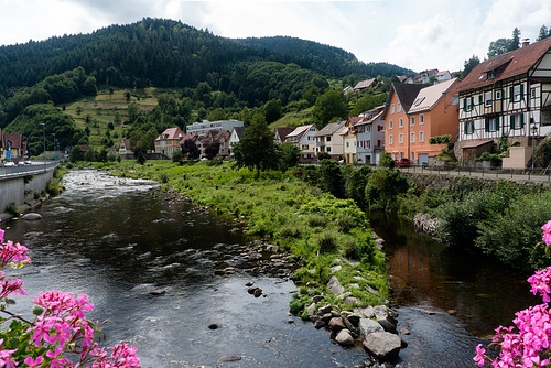 Weisenbach im Murgtal