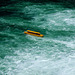 Gelbes Boot am Rheinfall