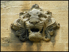 grotesque lion